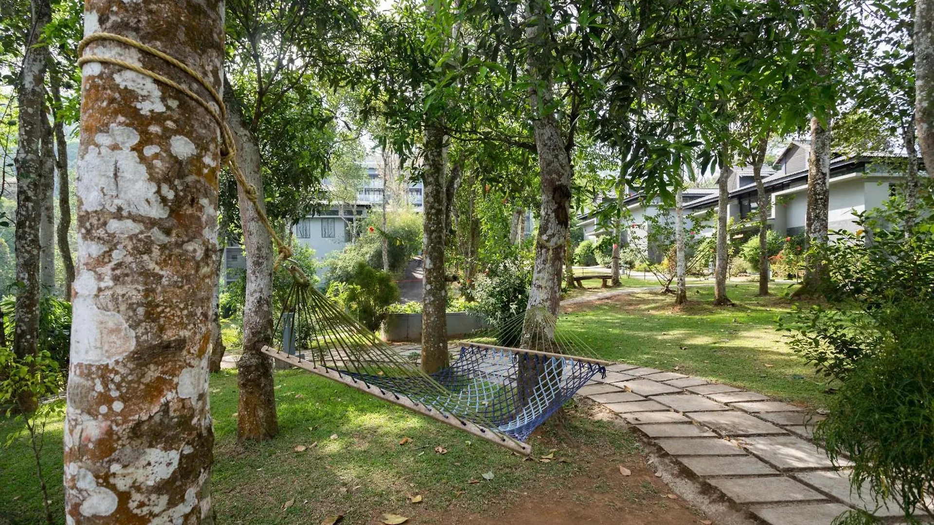 The Mountain Courtyard Thekkady Hotel
